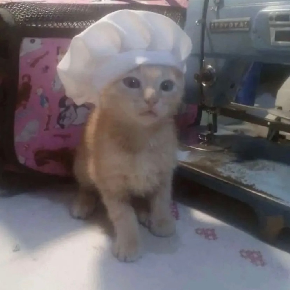 Meet your Posher, Kalvin